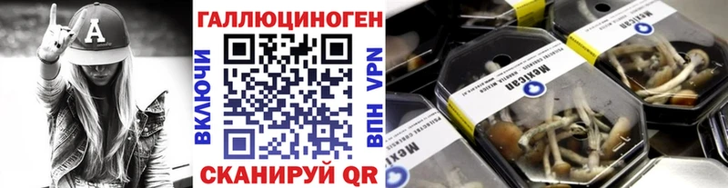 что такое наркотик  Азнакаево  блэк спрут вход  Галлюциногенные грибы Psilocybe 